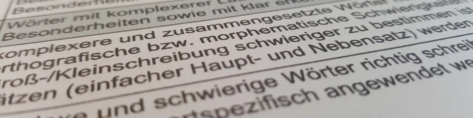 Kompetenzstufen beschreiben die Rechtschreibleistung unabhängig von der Jahrgangsstufe, Schulform oder sozialen Umgebung.